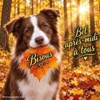 Chien dans une forêt d’automne tenant une feuille orange, avec le message « Bisous. Bel après-midi à tous »