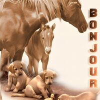 Matin de tendress...