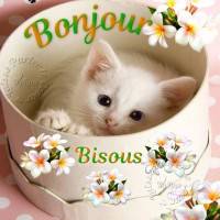 Un chaton blanc se cache dans une boîte, entouré de fleurs délicates.