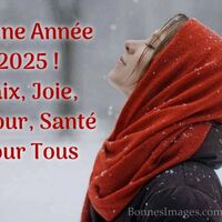 Une femme enveloppée dans une écharpe rouge apprécie la beauté de la neige tombante.