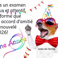 Un chien festif célèbre le Nouvel An avec des lunettes colorées et une flûte de champagne.