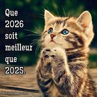 Que cette nouvelle année apporte espoir et bonheur à tous. Un avenir meilleur commence aujourd'hui.