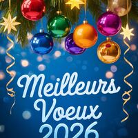 Que cette nouvelle année 2026 soit remplie de joie et de succès. Meilleurs vœux à tous pour une année exceptionnelle.