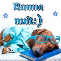 Un chien endormi porte des lunettes et repose sur un livre bleu, prêt pour une nuit paisible.