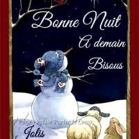 Un bonhomme de neige, un mouton et un lapin admiraient ensemble le ciel étoilé.