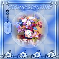 Un bouquet éclatant pour égayer votre semaine, accompagné de doux bisous.