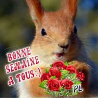 Un écureuil joyeux souhaite une belle semaine avec un bouquet de roses rouges.