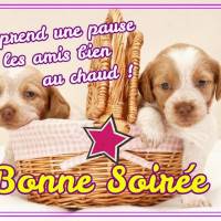 Bonne Soirée. Quel temps de chien, on est mieux sous la couette! image ...