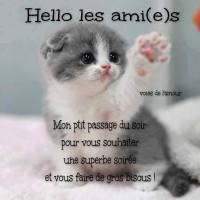 Hello les ami(e)s