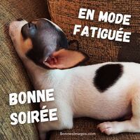 En mode fatiguée...