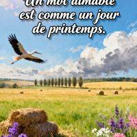 Citation sur un ciel bleu au-dessus d’un champ fleuri, avec une cigogne en vol et des bottes de foin