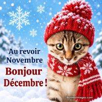 Chat portant un bonnet et une écharpe rouges sous la neige, avec le texte « Au revoir novembre, bonjour décembre ! »