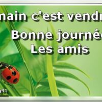 Une coccinelle se promène sur une feuille verte, annonçant l'approche du week-end. Profitez de cette belle journée.