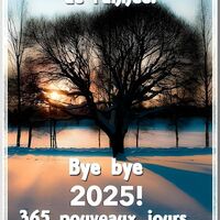 Le soleil couchant sur un paysage enneigé marque la fin de l'année, promettant de nouvelles opportunités avec le lever de chaque jour.