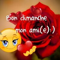 Une rose rouge accompagne un emoji souriant pour souhaiter une belle journée.