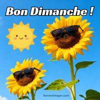 Deux tournesols avec des lunettes de soleil sous un ciel bleu, texte « Bon Dimanche ! » et un soleil souriant