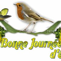 Un rouge-gorge et un papillon, symboles charmants d'une journée estivale radieuse.