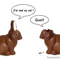 Deux lapins en chocolat échangent des mots amusants sur leurs blessures respectives.