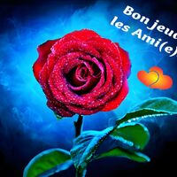 Une rose rouge éclatante ornée de gouttes de rosée se détache sur un fond bleu mystérieux.