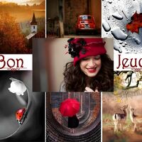 Un collage vibrant capture la beauté automnale avec des scènes de nature, une femme souriante et une ombrelle rouge contrastante.
