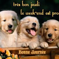 Très bon jeudi, le week-end est proche