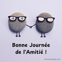 Deux galets aux lunettes noires se tiennent par la main, représentant l'amitié.