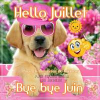 Hello Juillet. Bye...