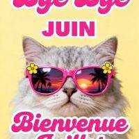 Chat gris avec lunettes roses reflétant un coucher de soleil, texte « Bye bye juin, bienvenue juillet »