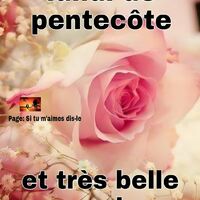Des roses délicates évoquant la douceur du lundi de Pentecôte.