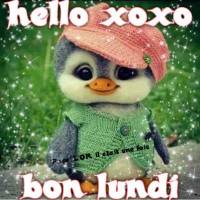 Un adorable pingouin en tenue de laine salue le début de la semaine.