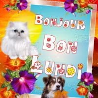 Un chat et un chien souhaitent un bon lundi entourés de fleurs colorées. 