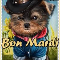 Un adorable petit chien habillé en cowboy souhaite une belle journée à tous. Profitez d'un mardi plein de charme !