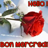 Hello ! Bon Mercredi