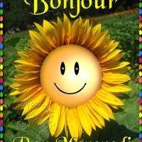 Un tournesol souriant illumine la journée avec ses pétales éclatants.