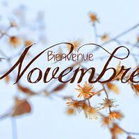 Bienvenue Novembre