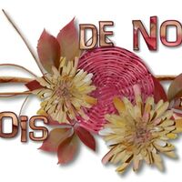 Une célébration florale et aviaire pour accueillir le mois de novembre.