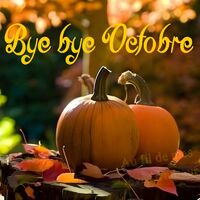 Citrouilles baignées de lumière automnale, annonçant la fin d'octobre en douceur.