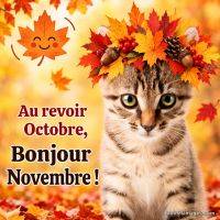 Chat tigré avec couronne de feuilles d’automne; texte « Au revoir Octobre, bonjour Novembre ! » sur fond orangé