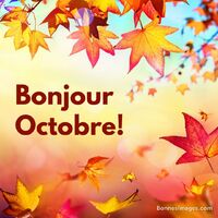 Feuilles d’automne flamboyantes qui tourbillonnent sous une lumière dorée. La saison se pare de rouge, d’orange et d’or.