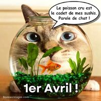 Poisson Avril