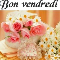 Un bouquet de roses roses et de marguerites égaye la journée. Profitez d'un vendredi fleuri et plein de douceur.