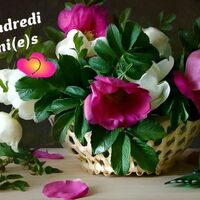 Un panier de fleurs vives et éclatantes apporte une touche de couleur et de fraîcheur.