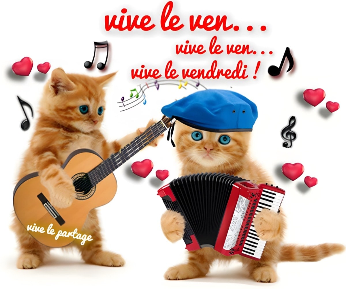 Gifs Anim s C Est Vendredi Humour Gif
