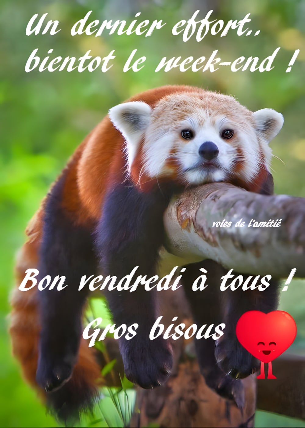 Vendredi Images Photos Et Illustrations Pour Facebook BonnesImages